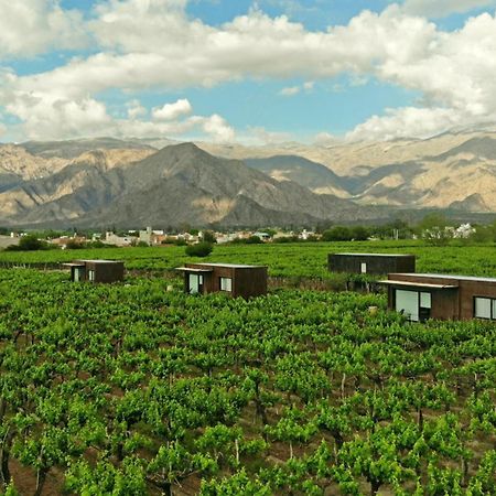 El Porvenir Wine Lodge Кафайяте Экстерьер фото
