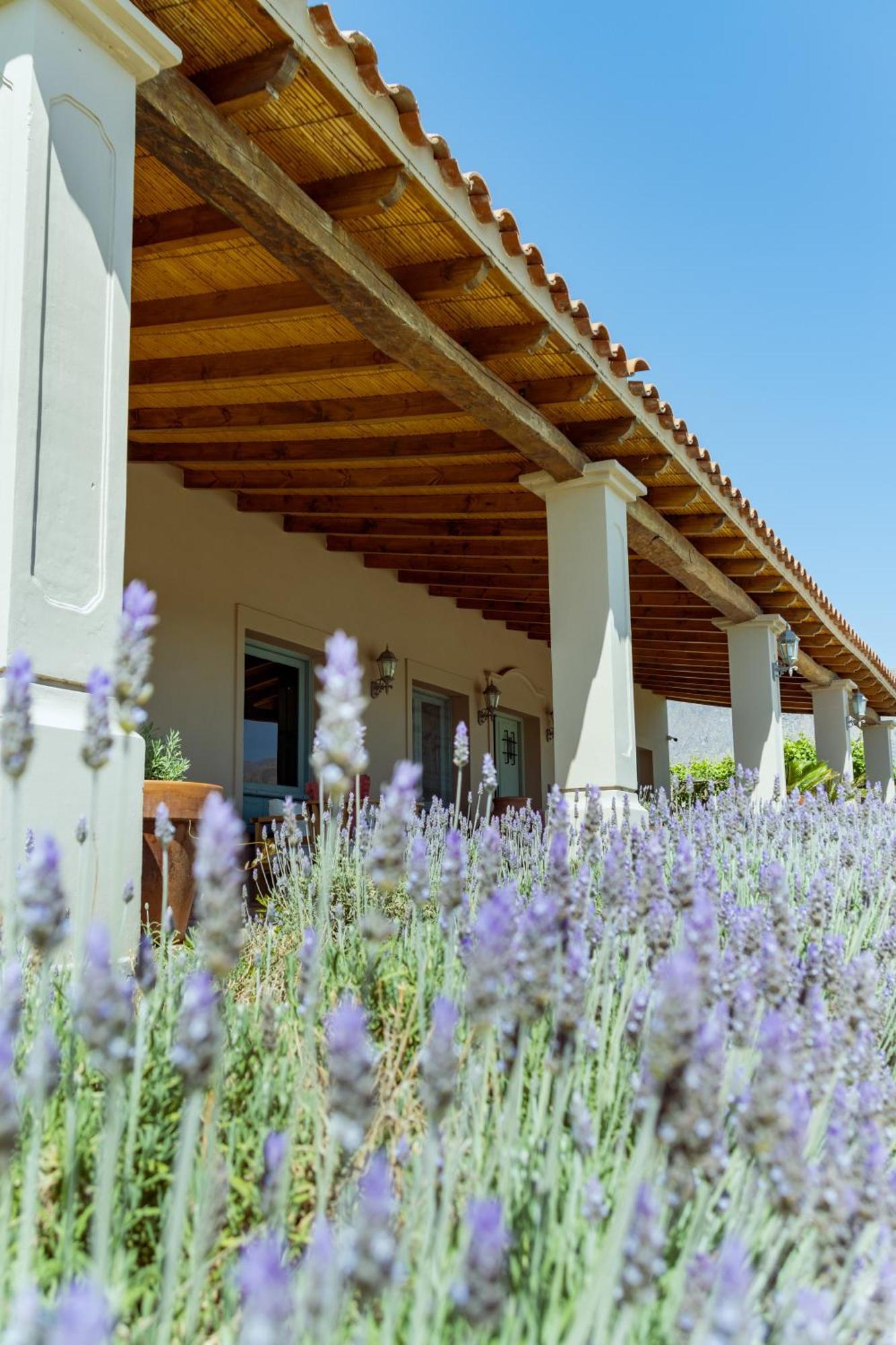 El Porvenir Wine Lodge Кафайяте Экстерьер фото